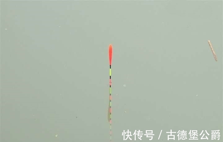 钓鱼|搞明白浮漂产生动作的原因,就知道怎么钓鱼了