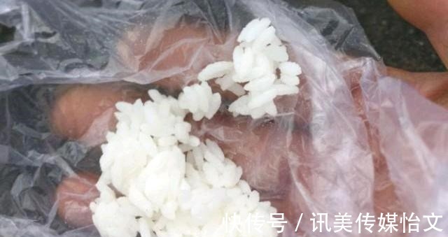 这东西|别看这东西便宜，却是鲫鱼最爱吃的饵料，它就在你身边