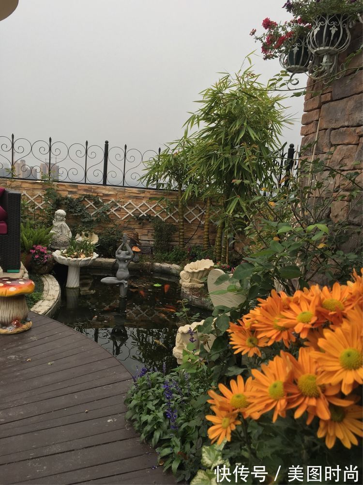花草|历时一年，在31楼打造300㎡“屋顶花园”，如今美成了仙境