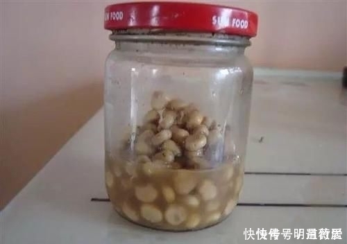 这条31斤的鲤鱼,他用的是什么饵料钓上来的