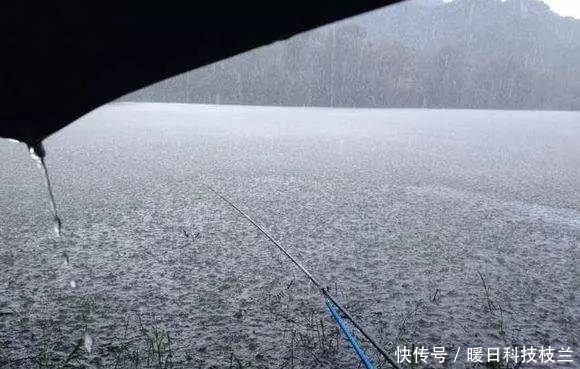 碳素杆|夏季钓鱼的六个禁忌,建议钓友们收藏