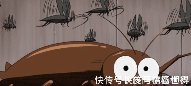 木叶|火影忍者火影彩蛋中的那些梗,你有略过吗