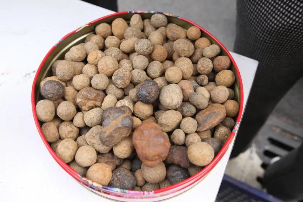  陨石|“群星”在故都闪耀——第四届临淄齐国商城陨石展