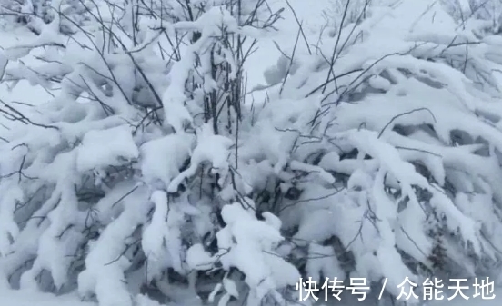 乾隆$乾隆一生写了四万首诗,只有一首入选小学课本,小学生:真好背!