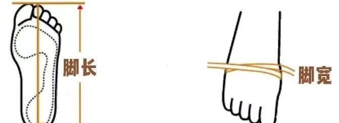 脚背|凉鞋该换了!我劝你穿这4双,太好看了