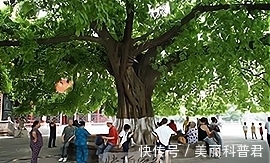 银河|一个不太著名的诗人，写一诗深得李贺诗神髓，备受王安石称赞