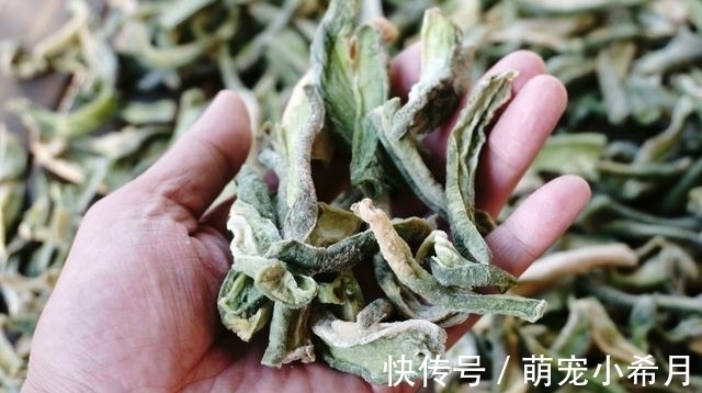 有5种蔬菜晒干后更美味！农村人拿来炖肉，城里人争先恐后去品尝