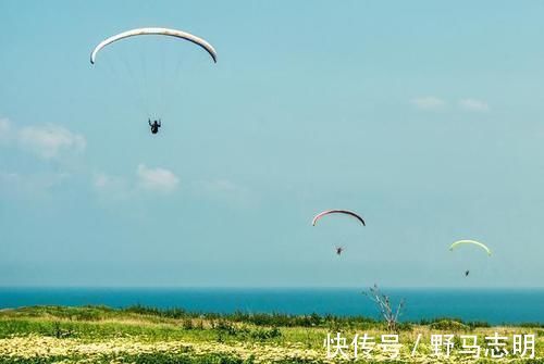 张家界|国内最不可错过的各大玻璃栈道，胆小别搓，扶墙恐高族慎点