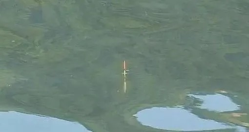 冬钓鲫鱼,有这4个技巧就够了,别搞得花里胡哨的