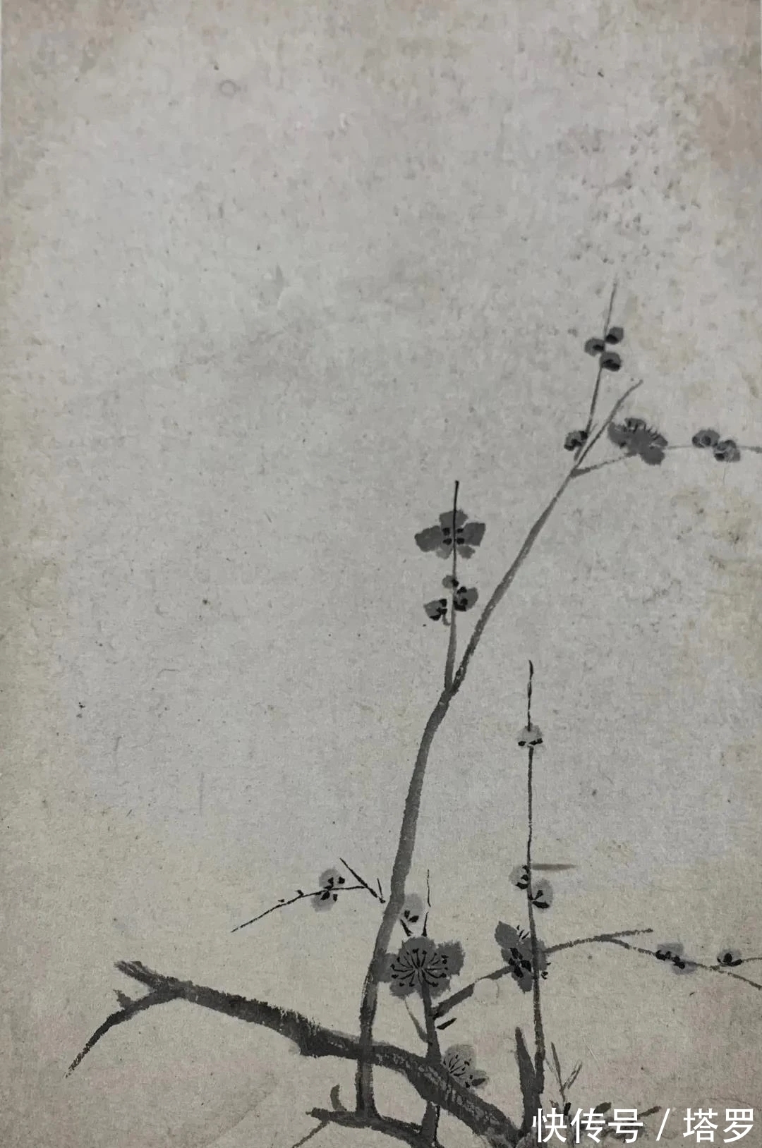 江画梅@他的山水画面貌来源于铁骨冰心的梅花|渐江画梅