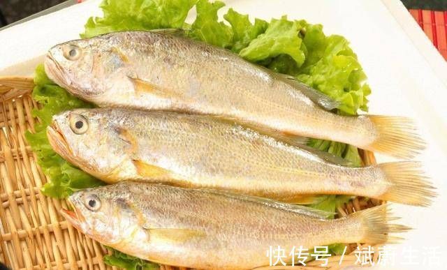 鱼刺|孩子一定要多吃,有益智力发育,对孩子大脑特别好,并且很省事