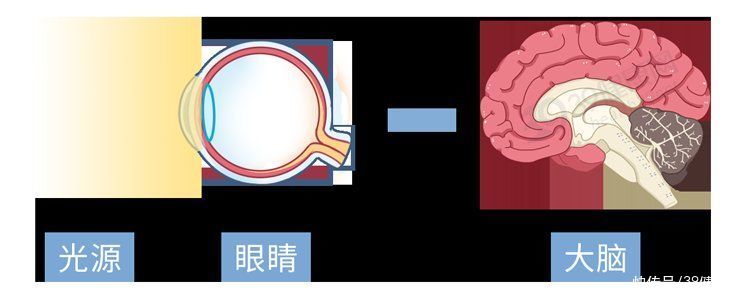 助眠神器|“助眠神器”褪黑素，真的有用吗？其实，它只能治这3种失眠