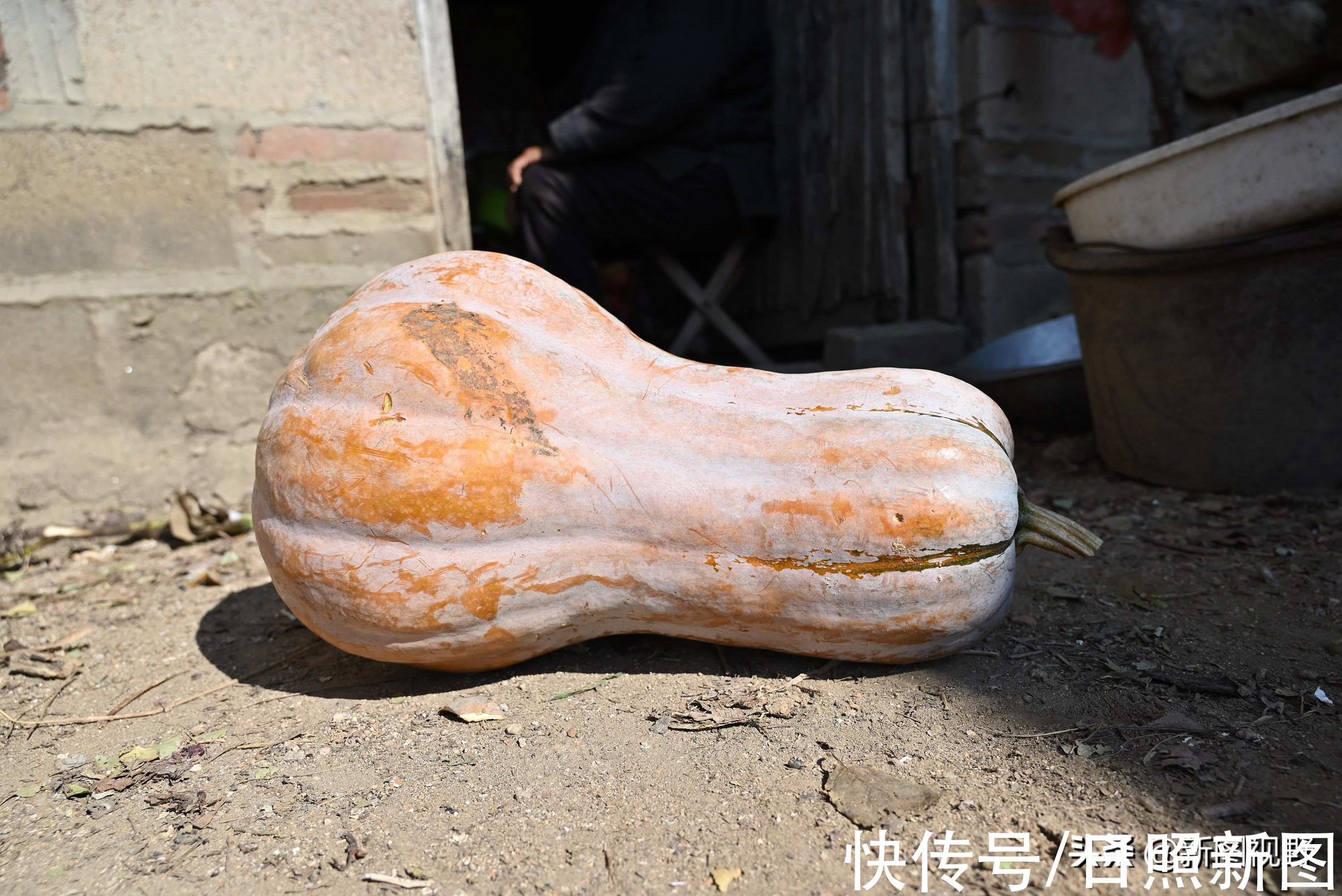 长寿|100岁奶奶,饭前习惯特殊,至今满头黑发,看长寿秘诀是啥