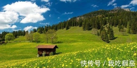 财情|4号开始到8·31号,桃花运旺盛,双喜临门,财情兼收的生肖