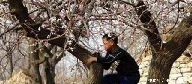 小学生放学“掏鸟蛋”,却摸到了沉睡千年的国宝,价值估计50亿