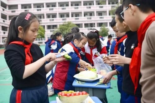  举办|水果也来凹造型：泰顺记育才小学举办学生水果拼盘比赛