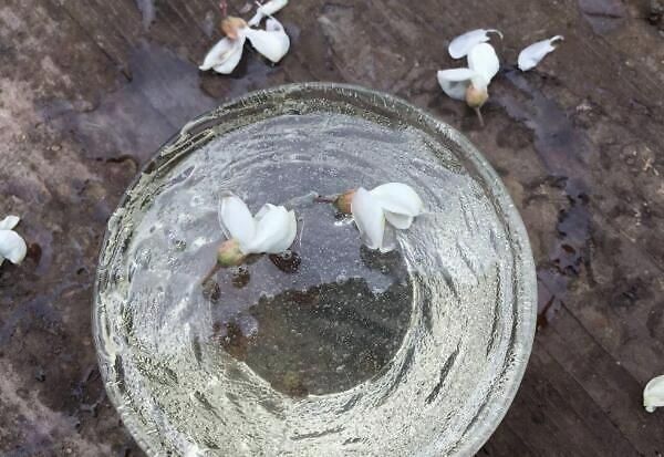 田野牧蜂|蛋糕里加蜂蜜口感有什么不同蛋糕加蜂蜜有什么作用