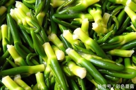 水喝食疗功|晚上翻来覆去睡不着?不妨用此物泡水喝,告别失眠,安稳一整晚!