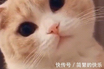 |搞笑有趣的图片搭配神评论:论找个会拍照的男朋友重要性