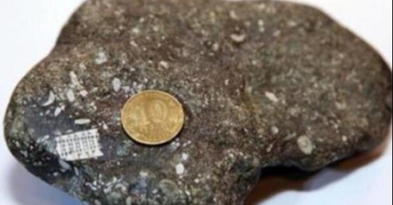 渔民|渔民捡到一块石头，竟镶嵌2.5亿年前“芯片”，史前高等文明真的存在？