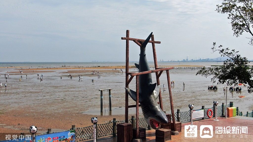 夏日|图看日照｜夏日海滩