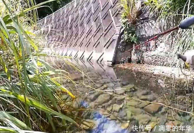 发现|男子在小溪里钓鱼,发现石缝下有动静,真实样子使男子惊喜不已