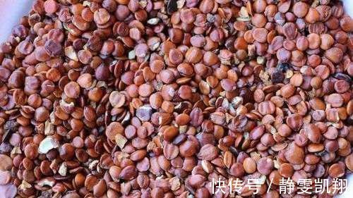 养肝护肝|经常失眠的人有福了，多吃这4种食物，或能让你一觉到天亮