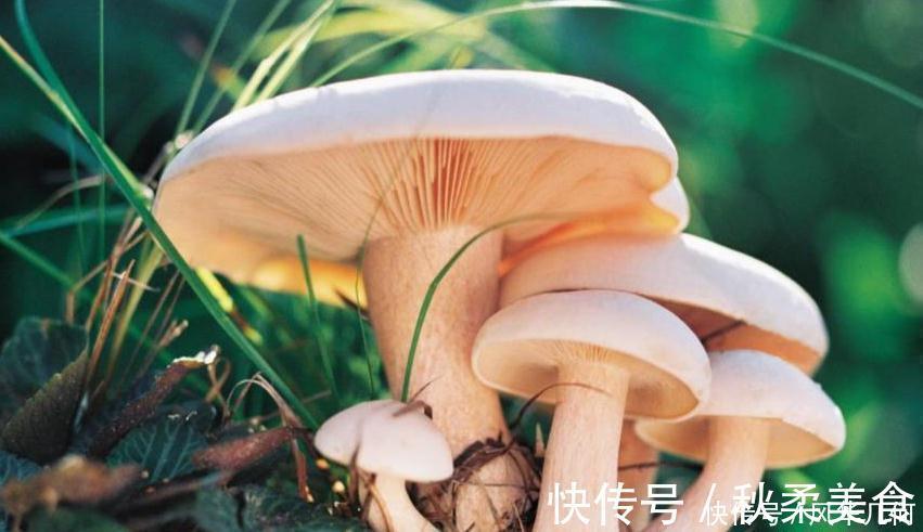 补肾|男性手脚冰凉,夜尿频繁,脱发,你要考虑补肾了,几种食物多吃