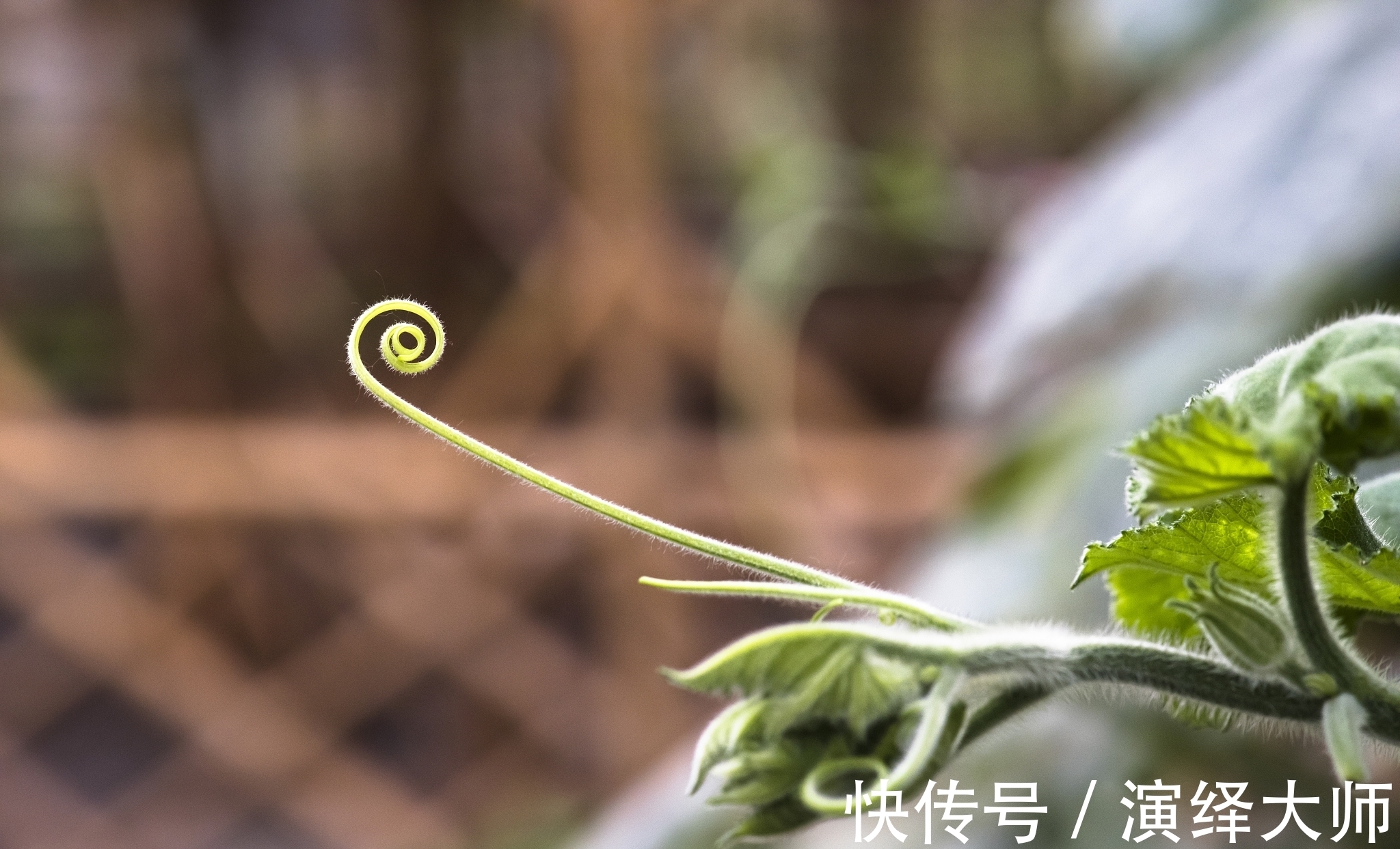 新媒体&不开心时,想想这五句话