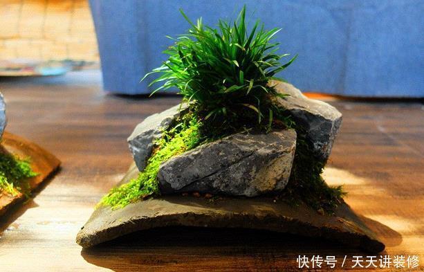 红砖、青瓦、烂木头,一定要拿来养花,一个比一个有韵味