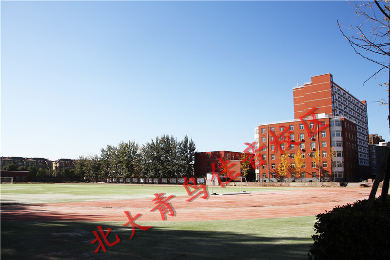 电脑知识|北大青鸟:零基础学电脑从哪里入手