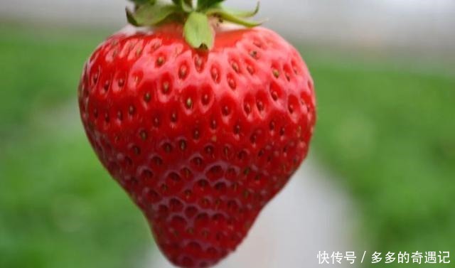 瓜果|瓜果飘香|太甜!如果凉山的冬天有味道,一定是草莓味的~