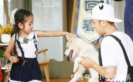 小手牵小狗|拯救无聊期:那些冷门,却意外很好看的综艺节目,你知道几个?