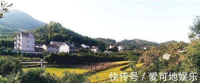 油画|杭州有个山间小村，这里梯田竹海都不少，油画一般的新世界！