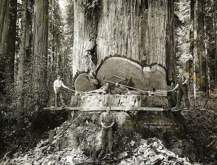 黑白|一组罕见的黑白历史旧照，让我们看到过去