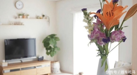 日本太太的”断舍离“生活,把杂物及时处理掉,家里干净又清爽