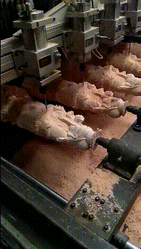 |搞笑GIF趣图:本来是劝大家遇到挫折的时候不要太执着的