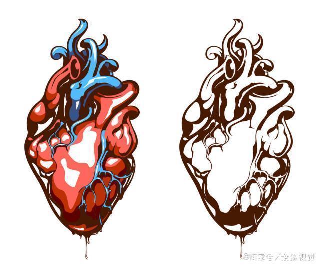 人被拿掉哪些器官却不会立马死有6个无用器官,医生一般不会说