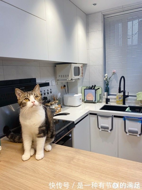 猪肝红|爆改43平小户型,不顾反对坚持主卧改客厅,完工后都说真香