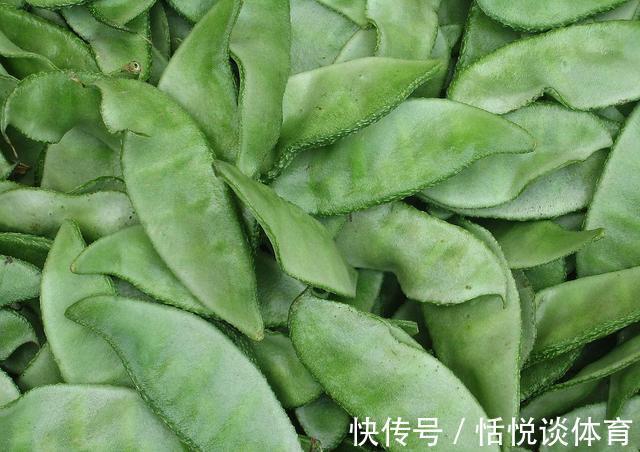 无根豆芽|8种不宜常吃的蔬菜,南瓜排最后,排首位的不少人或许天天吃