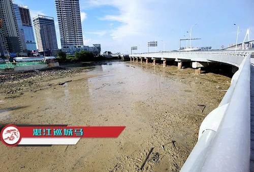 老年|这个片区，总有废水流入海里