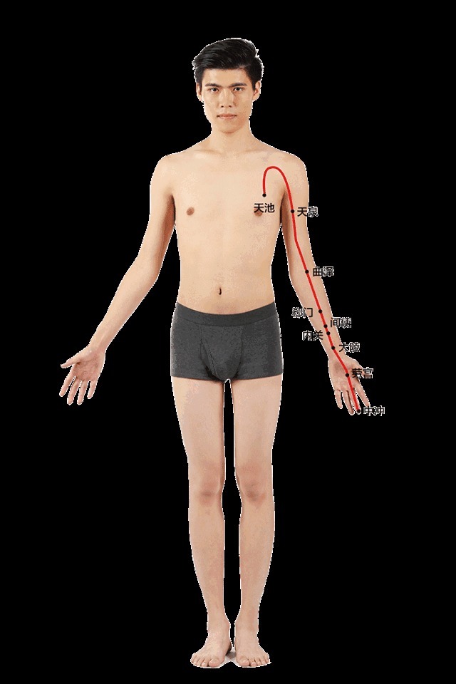 气血|早养胃,午养心 ,晚养百脉,三大黄金养生时间段,你都做对了吗