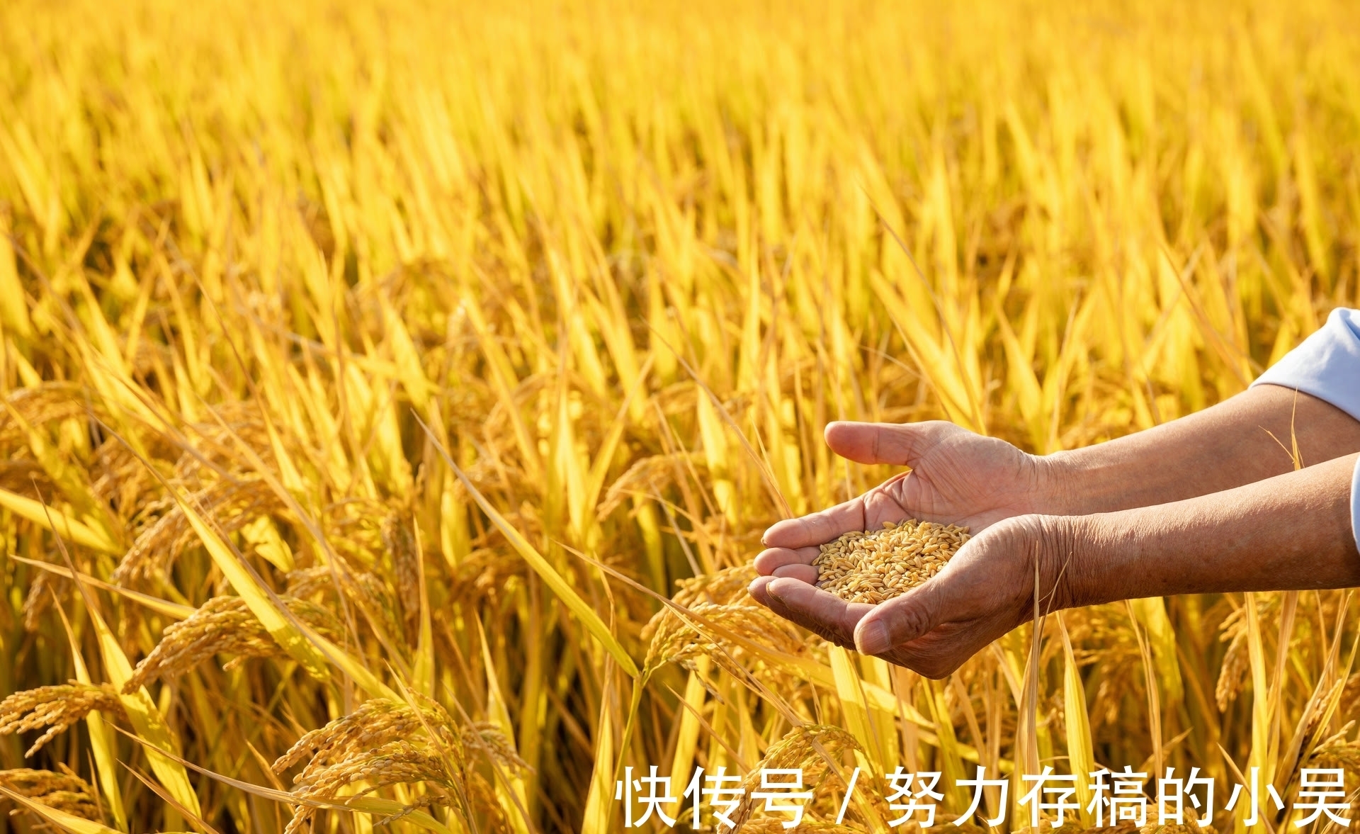 重阳节!2021年冬天冷不冷,看重阳节就知道!老祖宗的话果然有道理……