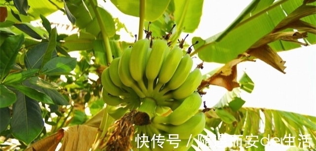 22个冷知识：为什么刚想入睡，就会产生尿意