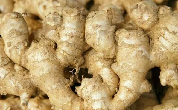 补肾|男性常吃以下5种食物,肾脏会变得更强大,不妨一试