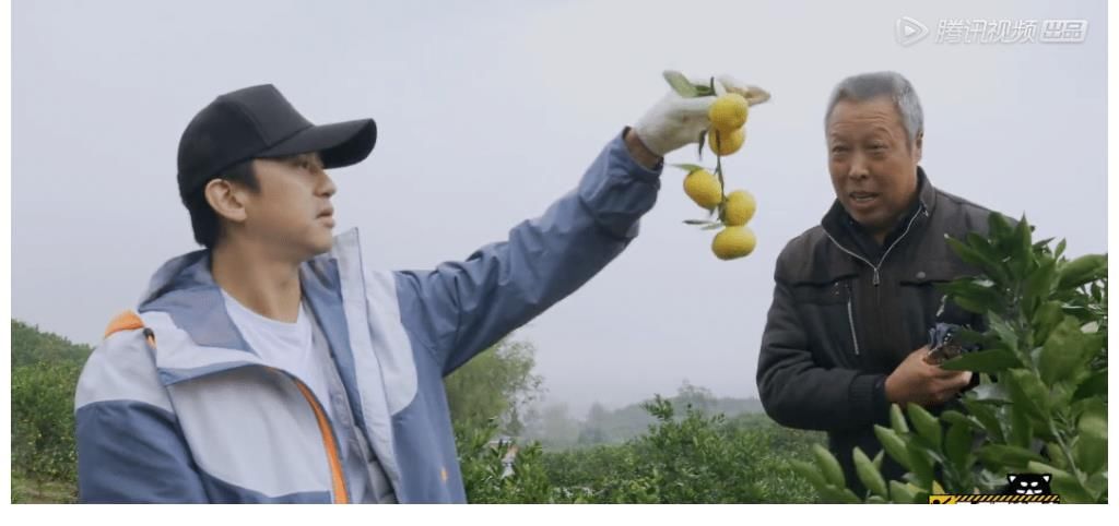 《五哈2》為何一上線(xiàn)就備受好評(píng)？這就是王征宇的“厲害之處”