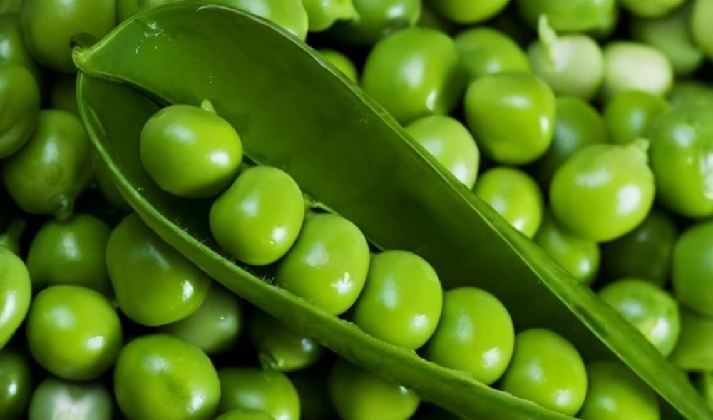 止咳|会吃的人更长寿,推荐3种食物,清热化痰,润肺止咳,爱吃就赚到