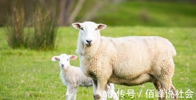 羊人|端午开始，哪3大生肖好机遇到眼前，运势顺、喜财多，早晚能致富