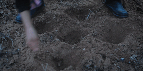 一物一生，吃完萝卜，一生系列就停在这里了吧