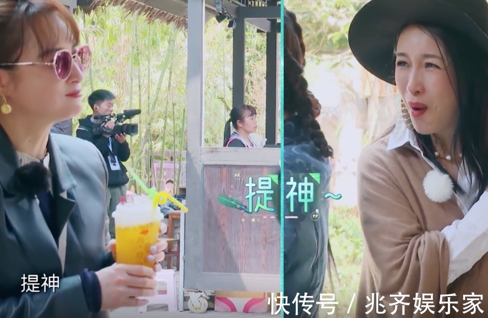 为何秦海璐受大家欢迎当她戳穿蒋勤勤安利的美食时,我有了答案